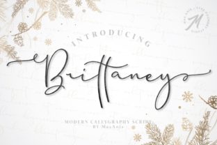 Brittaney: A Modern Typeface for Elegant Branding