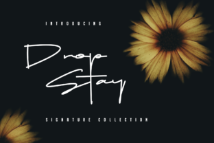 Drop Stay Font Review for Elegant Branding