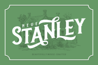 Neue Stanley Font Review for Bold Campaigns