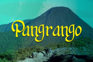 Pangrango Font for Authentic Business Branding