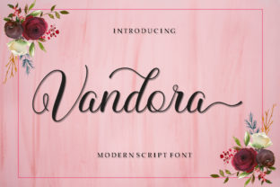 Vandora: A Dynamic Script Font for Modern Branding